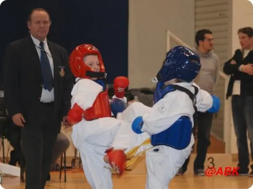 Jeunes compétiteurs équipés (casque, plastron,gants, protèges-pieds, ...)